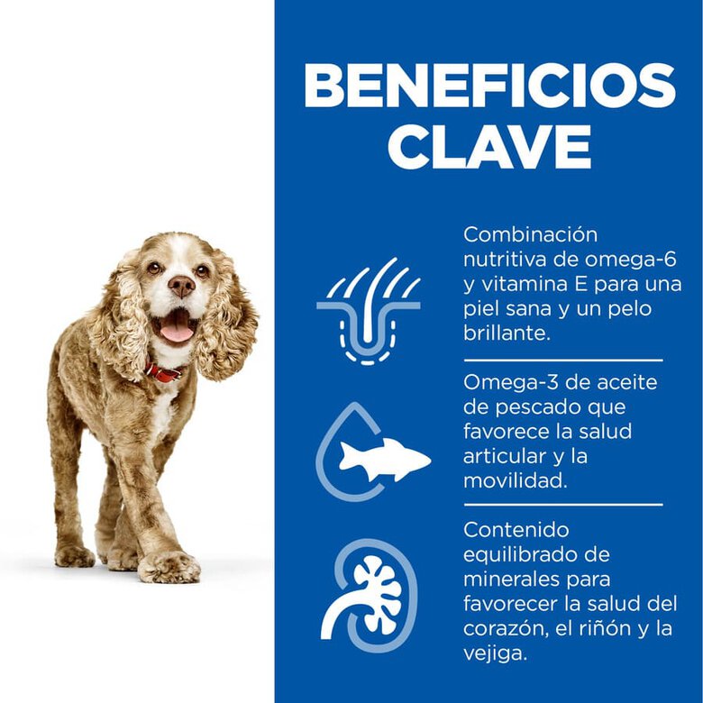 Hill's Science Plan Senior 11+ Small & Mini pollo pienso para perros, , large image number null